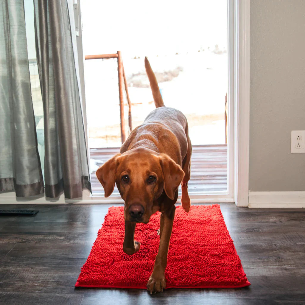Tapis CleanPattoune™