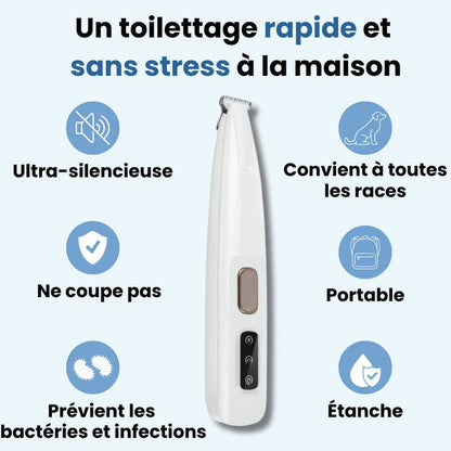 Tondeuse pour Papatte de Chien