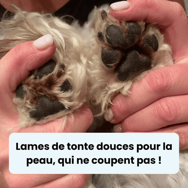 Tondeuse pour Papatte de Chien