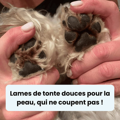 Tondeuse pour Papatte de Chien