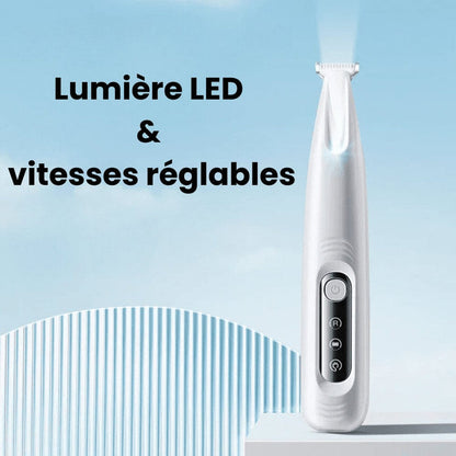 Tondeuse pour Papatte de Chien