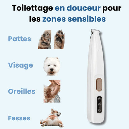 Tondeuse pour Papatte de Chien