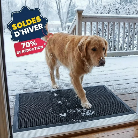 Tapis CleanPapatte Pro