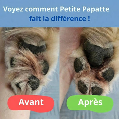 Tondeuse pour Papatte de Chien